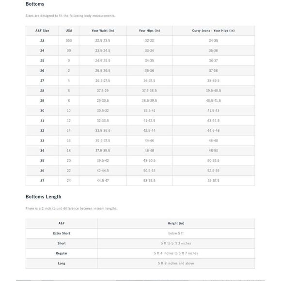 Abercrombie & Fitch The Dad High Rise Light Wash Blue Denim Jeans NWT Size 26/2L - Picture 12 of 13